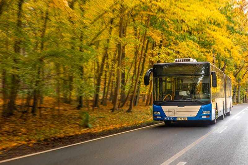 ТОП-10 автобусних перевізників до Європи: рейтинг та огляд